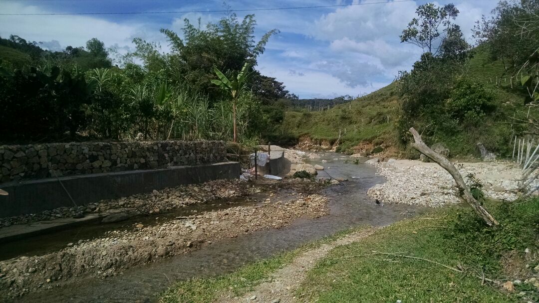 INTERVENCI�N INTEGRAL EN MANEJOS EROSIVOS